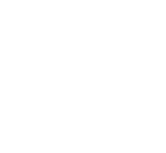 ZFX